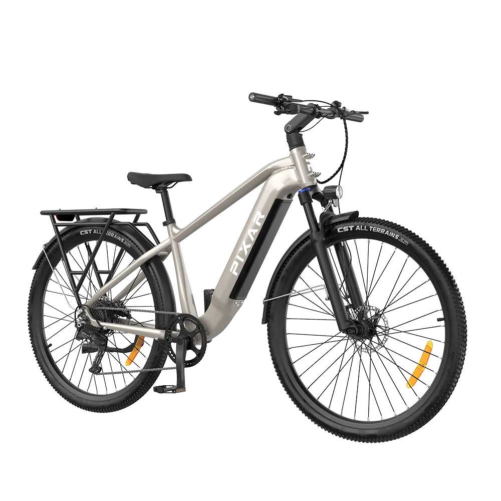 Touring Electric Bike